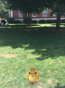 A wild  Pokémon, "Pidgey," appears in front of the Old Effingham Outhouse